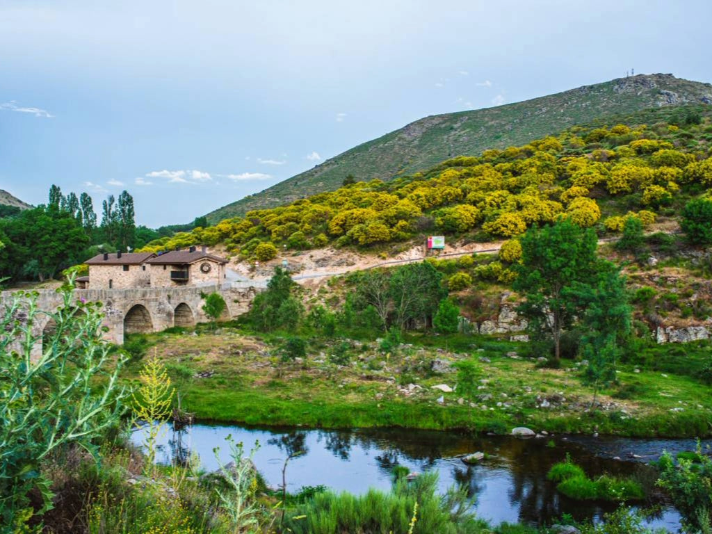 Comando G: Garnacha fra Gredos