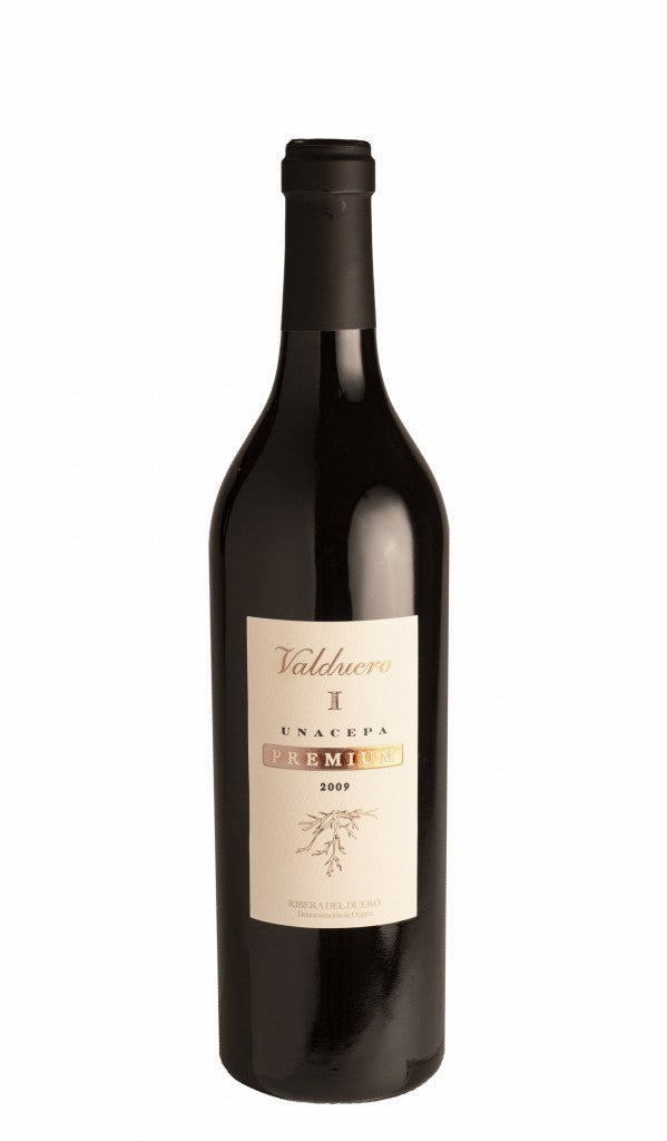 2010 Bodegas Valduero Una Cepa Premium