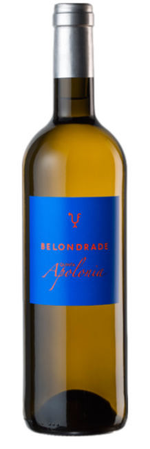 Belondrade Quinta Apolania