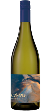 Celeste Vino Blanco Scout by Vincenzo