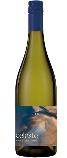 Celeste Vino Blanco Scout by Vincenzo