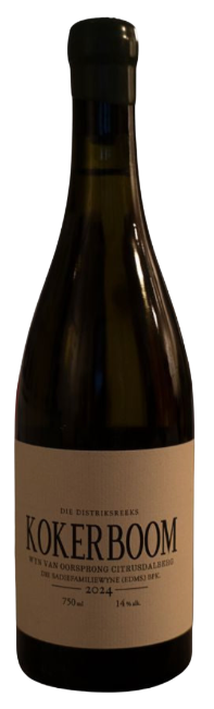 Sadie Family Kokerboom