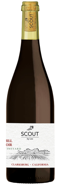 Sugar Mill Pinot Noir 2023 Wilson Vineyard, Scout by Leo