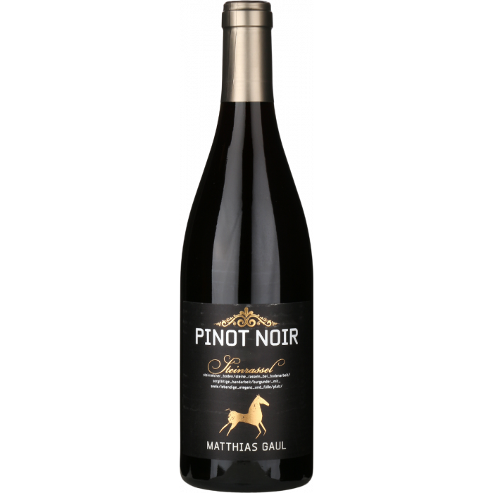 2021 Matthias Gaul Pinot Noir Steinrassel
