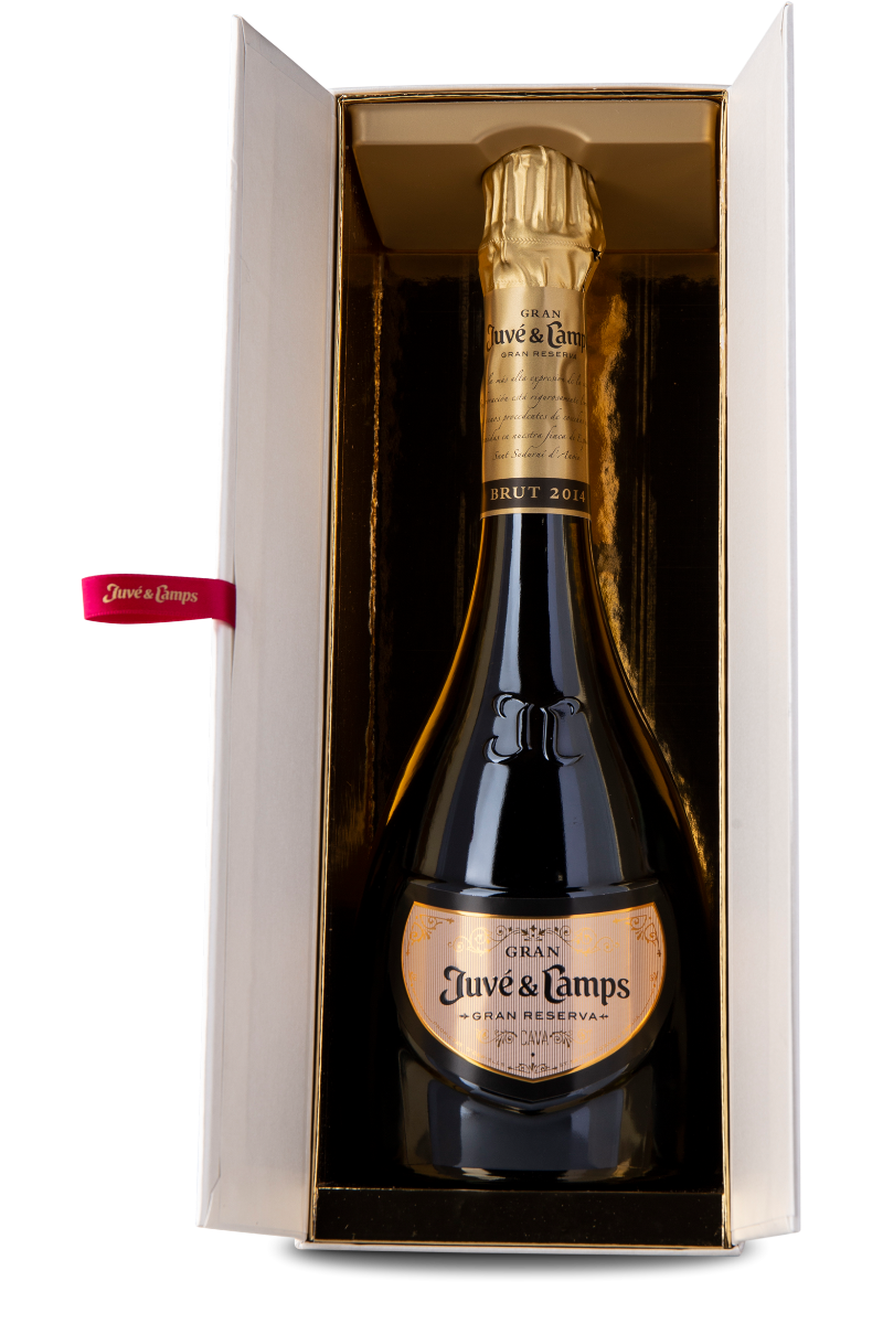 Juve Y Camps Cava Gran 2013