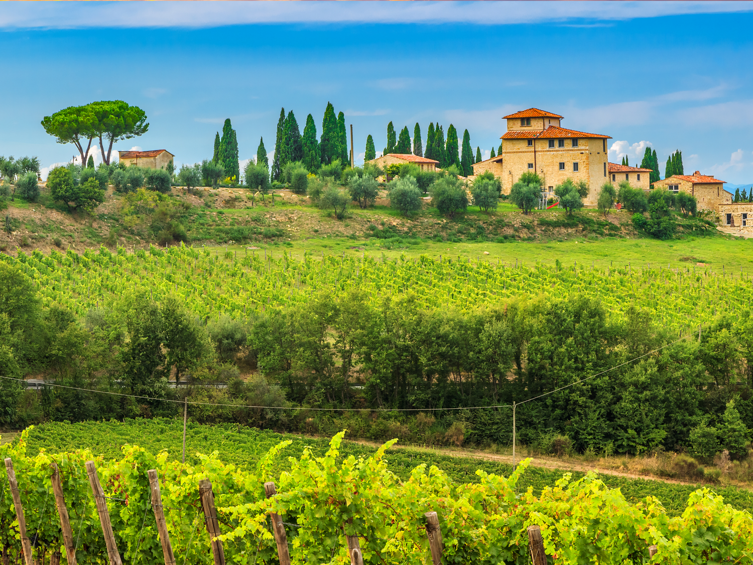 Chianti: 5 facts fra Toscanas hjerte