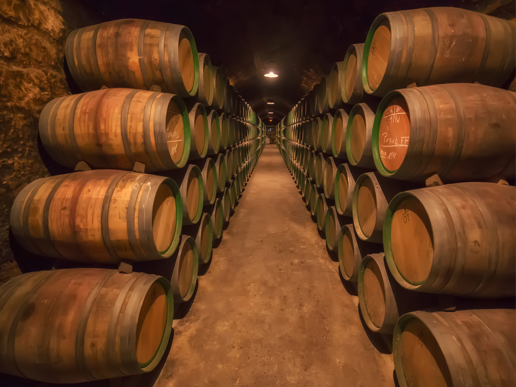 Rioja: 5 facts fra Spaniens traditionsrige distrikt