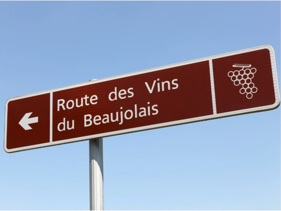 Beaujolais: 5 facts fra Gamay-land