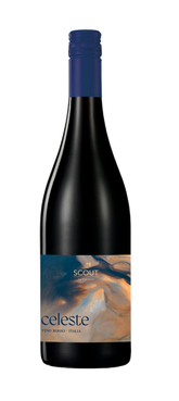 Celeste Vino Rosso Scout by Vincenzo