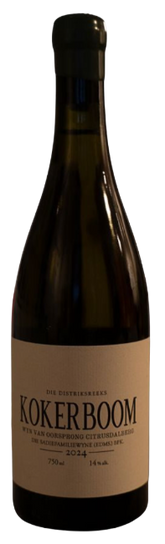 Sadie Family Kokerboom